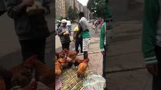 What Is Going On In Ethiopia Its New Year S Eve 2015 