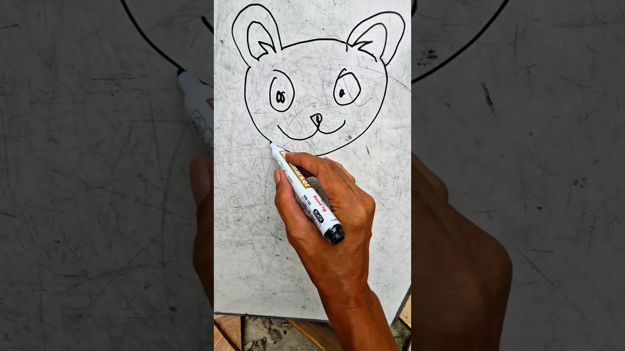gambar kucing lucu