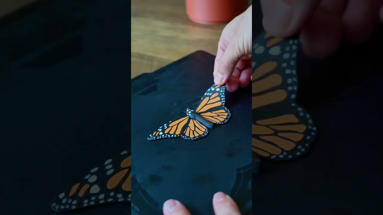 Butterfly Fridge Magnets video thumbnail