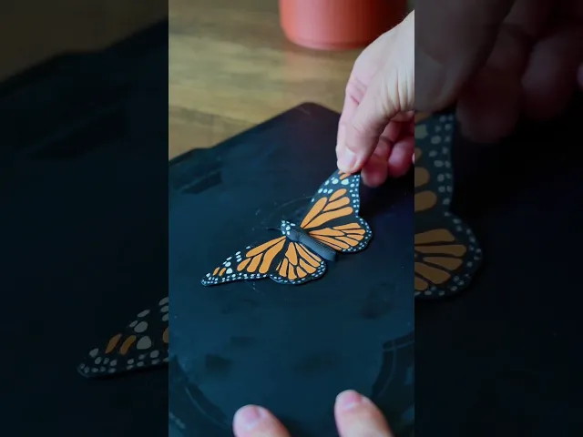 Butterfly Fridge Magnets video thumbnail