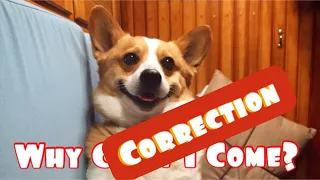 The Crooked Customs Agents Are… NOT in Puerto Rico! | Apology and Correction