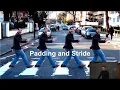 Padding and Stride