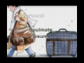 SOULMATE - PLAYGROUND [KARAOKE MV]