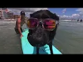 Myrtle Beach Surf Lessons and Surf Camp x Kokopelli Surf Camp
