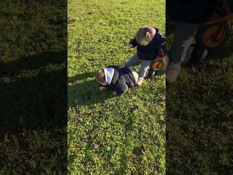 Jajaja sacas a pasear a tus sobrinos 🤣 #humor #comedia #memes #viralshorts #viralvideo #shortvideo
