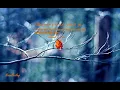 Download Lagu Relaxing Recitation of Surah Al Mulk for Healing and finding inner peace by Ismail Annuri