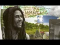 Bob Marley & The Wailers - Sun Is Shining (Visualizer)