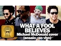 Download Lagu Serial Funkers - What a Fool Believes (Michael McDonald cover)