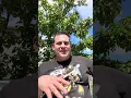 My Honest Opinion on BEHR Sherwin Williams and Benjamin Moore