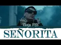 Tiago PZK - Señorita [CCL Esp|Eng]