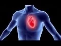Heart Vascular Center - Brigham and Women s Hospital