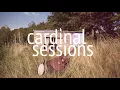 Iron & Wine - Call It Dreaming - CARDINAL SESSIONS
