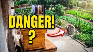 Cat falls into a well while chasing a bird in Jiangsu, China
