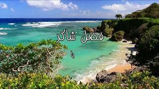 اغنيه فضل شاكر   حبك غير حياتي   دندنها