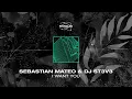 Lagu Sebastian Mateo \u0026 Dj St3v3 - I Want You [FREE DOWNLOAD]