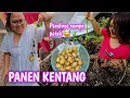 Download Lagu PANEN KENTANG DAN WORTEL BARENG HEIDI DAN BANG SABENI