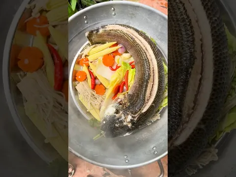 🌿 Village Style Steamed Big Fish — So Fresh, So Delicious!