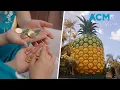 Australia Post releases Big Things commemorative coin collection