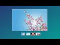 Image Gallery with thumbnail using Vanilla Javascript
