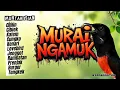 Download Lagu MURAI BATU GACOR MUNTAH ISIAN! NAIKAN EMOSI STABILKAN BIRAHI