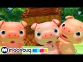 Download Lagu De Drie Biggetjes | @CoComelonNederlands | Moonbug Kids Nederlands