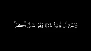  و ع س ى أ ن  ت ك ر ه وا ش ي ئ ا و ه و  خ ي ر  ل ك م   سورة البقرة بدر التركي دندنها
