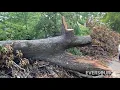 Eversource s restoration process after a storm