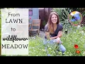Download Lagu I Planted A Wildflower Meadow 🌼🐝🦋| Amazing Lawn Transformation | From Seeds to Blooms