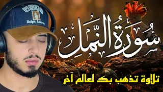 سورة النمل تلاوة تذهب بك الى عالم من السكون والهدوء  حمزة بوديب  دندنها