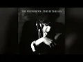 The Waterboys - The Whole of the Moon [HQ]