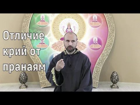 отличие крий от пранаям image