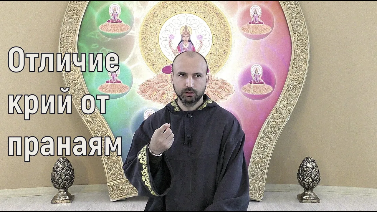 course отличие крий от пранаям image