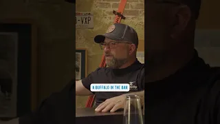 A Buffalo in the Bar