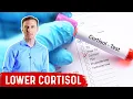 How To LOWER Cortisol Levels - Dr Berg