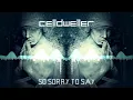 Celldweller - So Sorry To Say