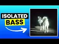 Shit Love - Fat Dog | Only Bass (Isolated)