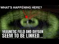 Download Lagu Mysterious Strong Link Between Earth's Magnetosphere and Oxygen Levels