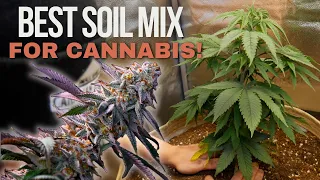 Grow Organic Cannabis the EASY Way Clackamas Coots Soil Mix Explained