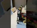 Biome art shoe box