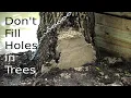 Don t fill holes in trees