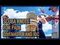 Download Lagu 3 knots to know how to tie for your PADI Divemaster and IDC // Bowline, sheetbend and 3 half hitches