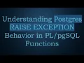 Understanding Postgres RAISE EXCEPTION Behavior in Functions