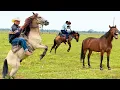 The difficult work of taming horses on the plains