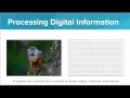 Data - Getting Started