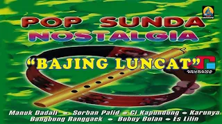 Download Pop Sunda Nostalgia - Bajing Luncat (Karaoke) MP3