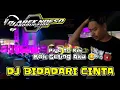 Download Lagu DJ BIDADARI CINTA TERBARU • Piye to Kih Kok Geting aku | Woko Channel