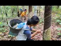 Download Lagu Aktifitas Gadis Dayak di Kebun Karet di Tengah Hutan Kalimantan, Malawaken - Barito Utara.