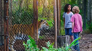 a tiger was locked in a cage then two brave kids did this the rising tiger 2022 