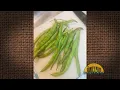 Q A - What are these black stripes on my green beans Can I still eat them