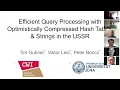 Tim - Efficient Query Processing with Optimistically Compressed Hash Tables Strings in the USSR